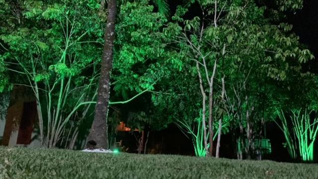 Bons Ventos Camping E Glamping Barra Grande  Luaran gambar