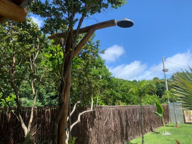 Bons Ventos Camping E Glamping Barra Grande  Luaran gambar